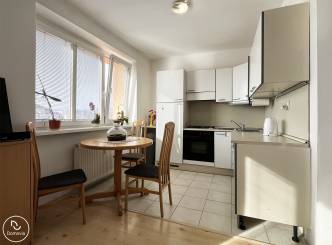 PRENAJATÉ | Na prenájom priestranný 1i byt Ružinove